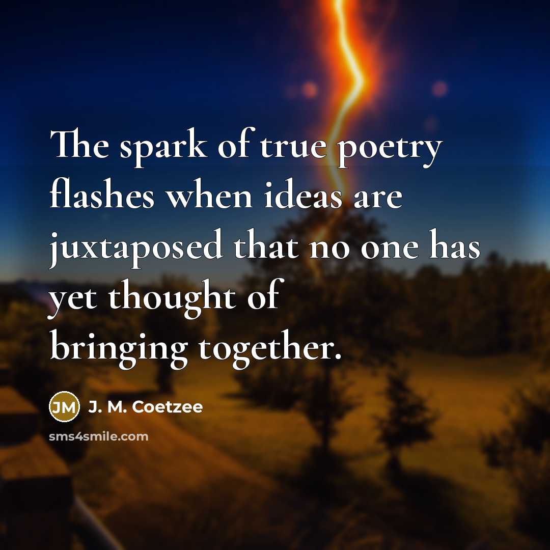 “The spark of true poetry flashes when ideas are juxtaposed…” quote by J. M. Coetzee