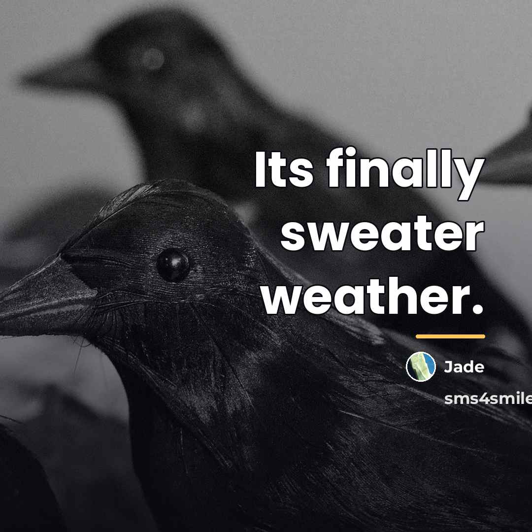 “Its finally sweater weather.…” quote by Jade
