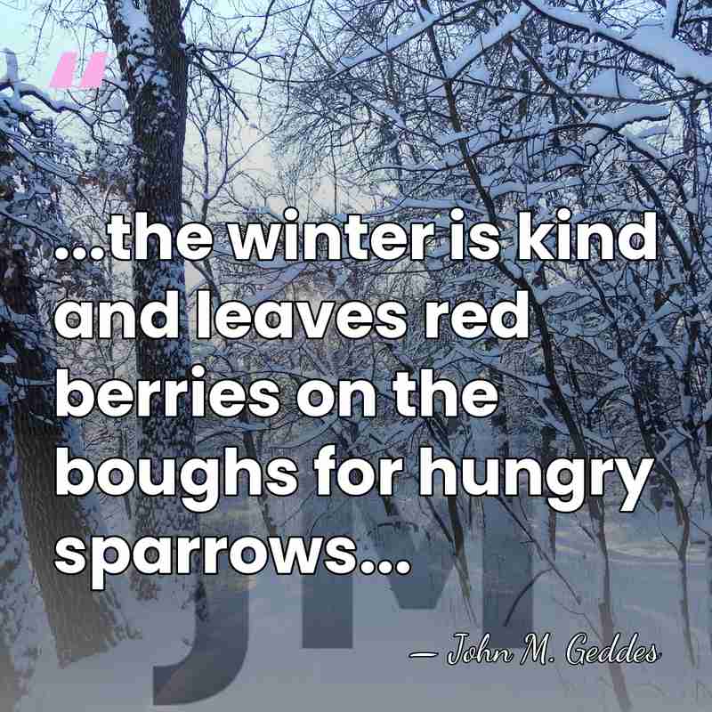 ...the winter is kind and leaves red berries on the boughs for&hellip; - John M. Geddes