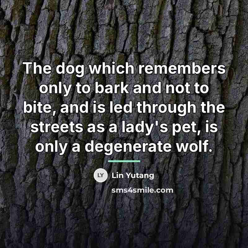 “The dog which remembers only to bark and not to…” quote by Lin Yutang