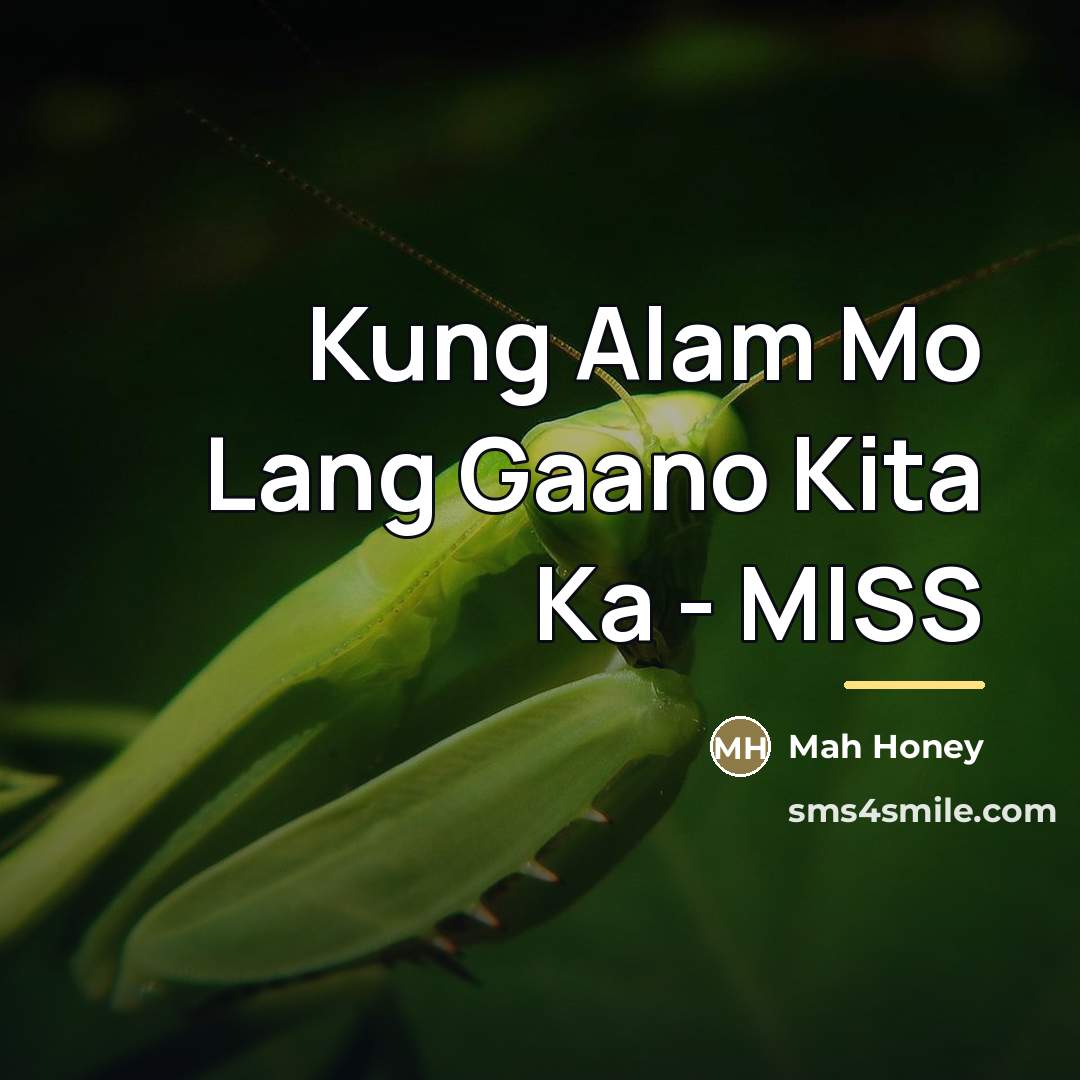 “Kung Alam Mo Lang Gaano Kita Ka - MISS…” quote by Mah Honey