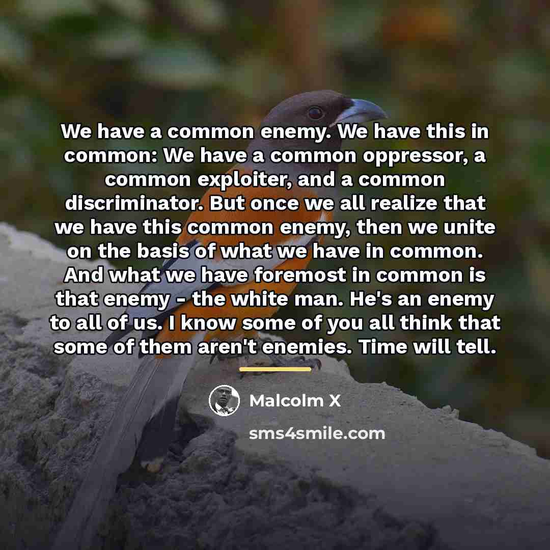“We have a common enemy. We have this in common:…” quote by Malcolm X