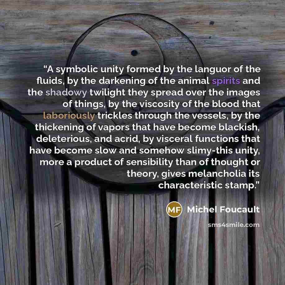 “A symbolic unity formed by the languor of the fluids, by the darkening of the animal spirits and the shadowy twi­light they spread over the images of things, by the viscosity of the blood that laboriously trickles through the vessels, by the thickening of vapors that have become blackish…” quote by Michel Foucault