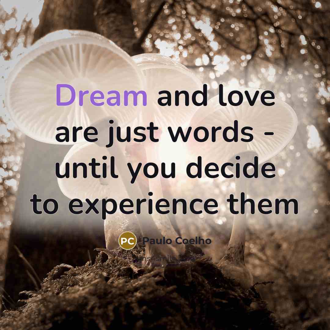 “Dream and love are just words - until you decide…” quote by Paulo Coelho