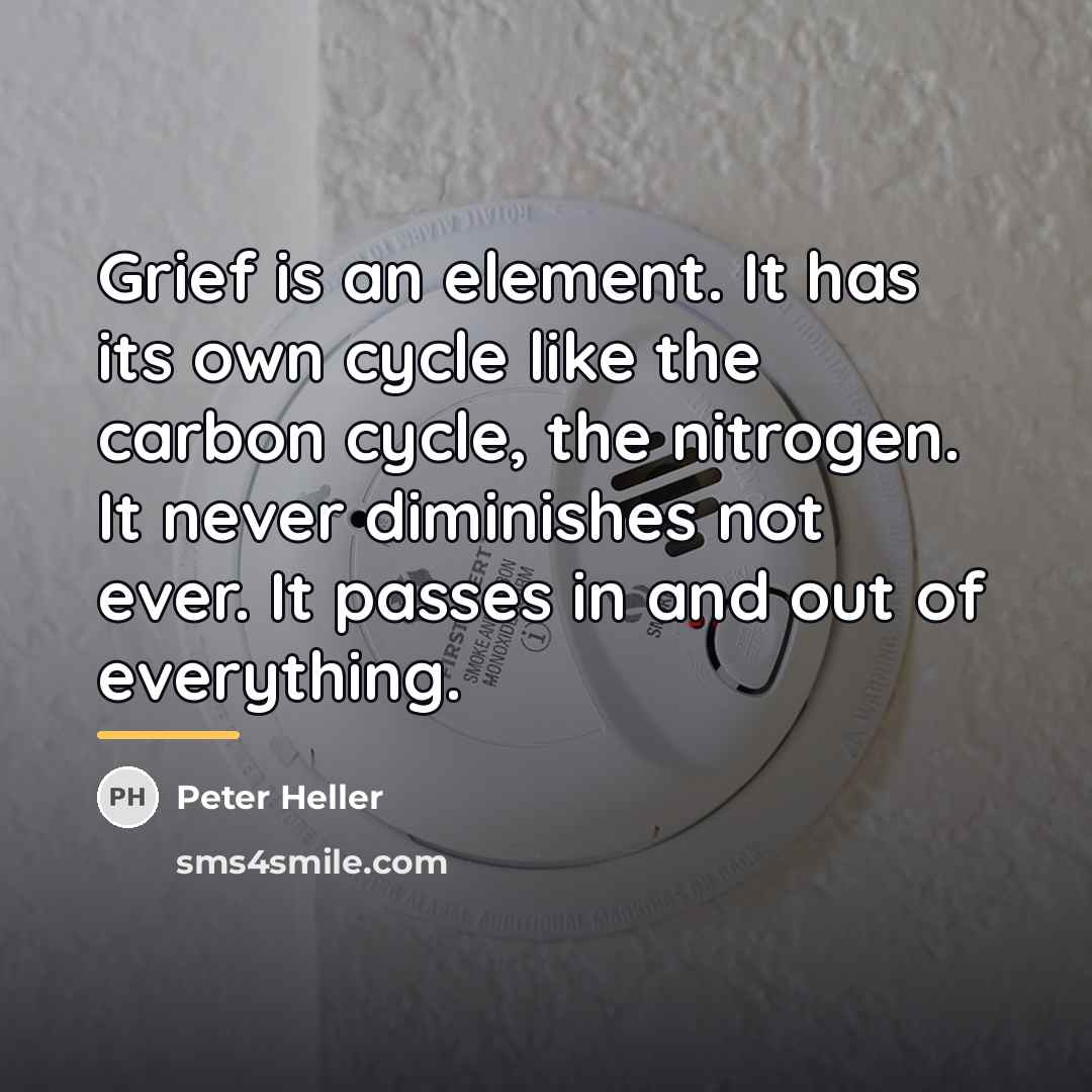 “Grief is an element. It has its own cycle like…” quote by Peter Heller