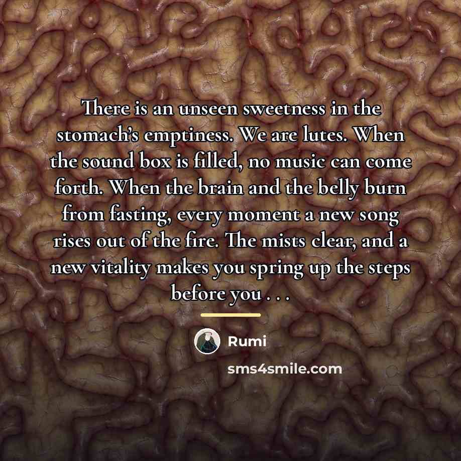 “There is an unseen sweetness in the stomach’s emptiness. We…” quote by Rumi
