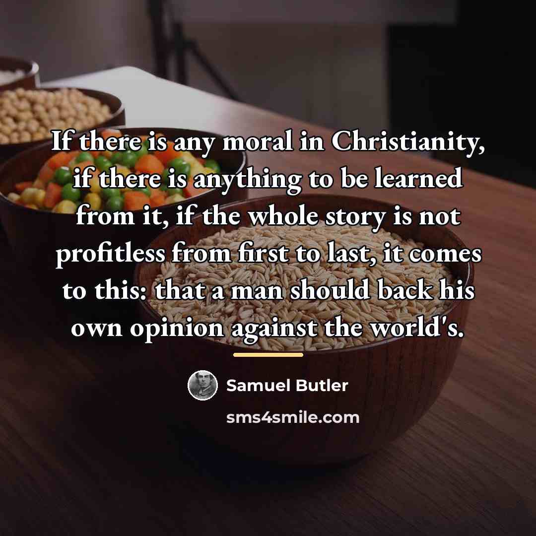 “If there is any moral in Christianity, if there is…” quote by Samuel Butler