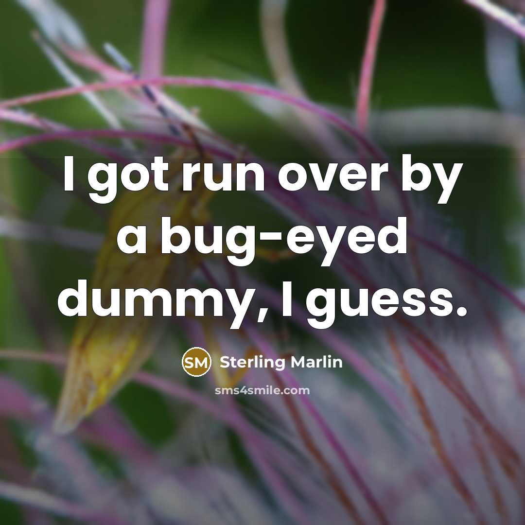 “I got run over by a bug-eyed dummy, I guess.…” quote by Sterling Marlin