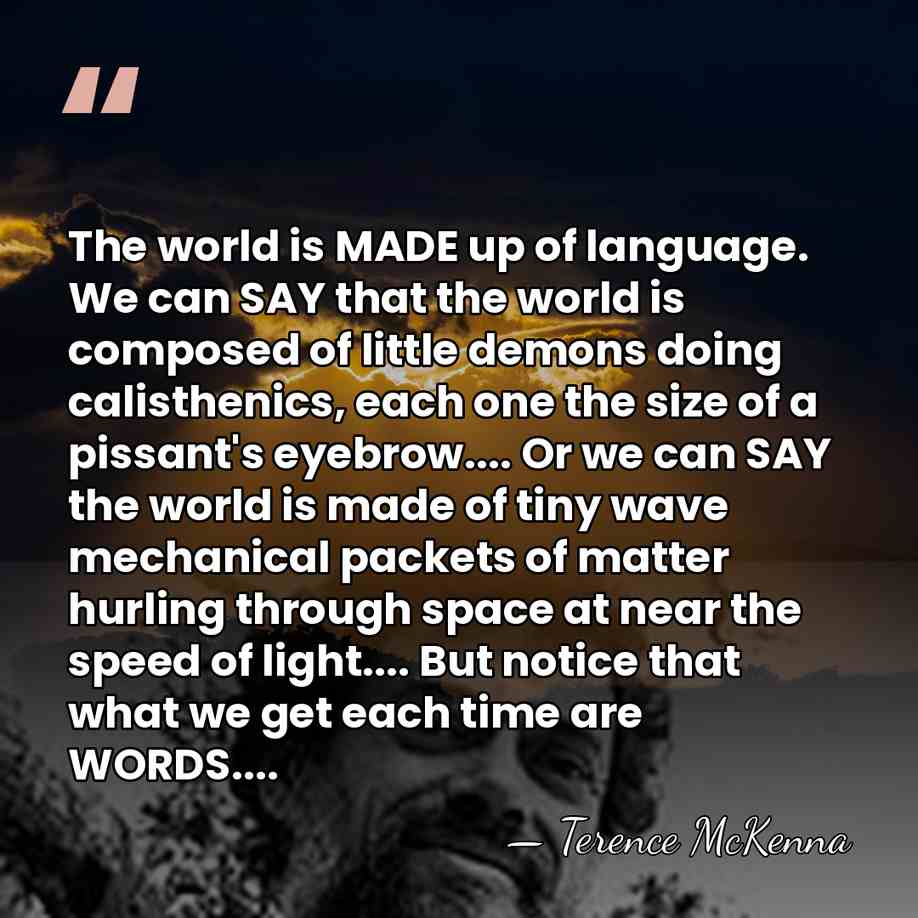 The world is MADE up of language. We can SAY that the&hellip; - Terence McKenna