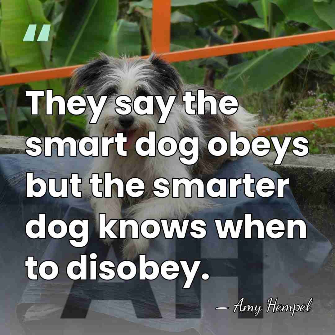 They say the smart dog obeys but the smarter dog knows when&hellip; - Amy Hempel