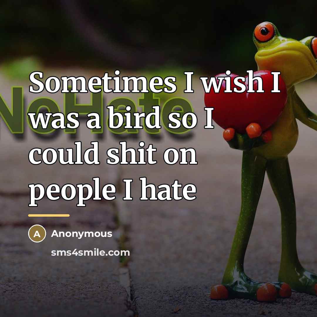 “Sometimes I wish I was a bird so I could…” quote by Anonymous