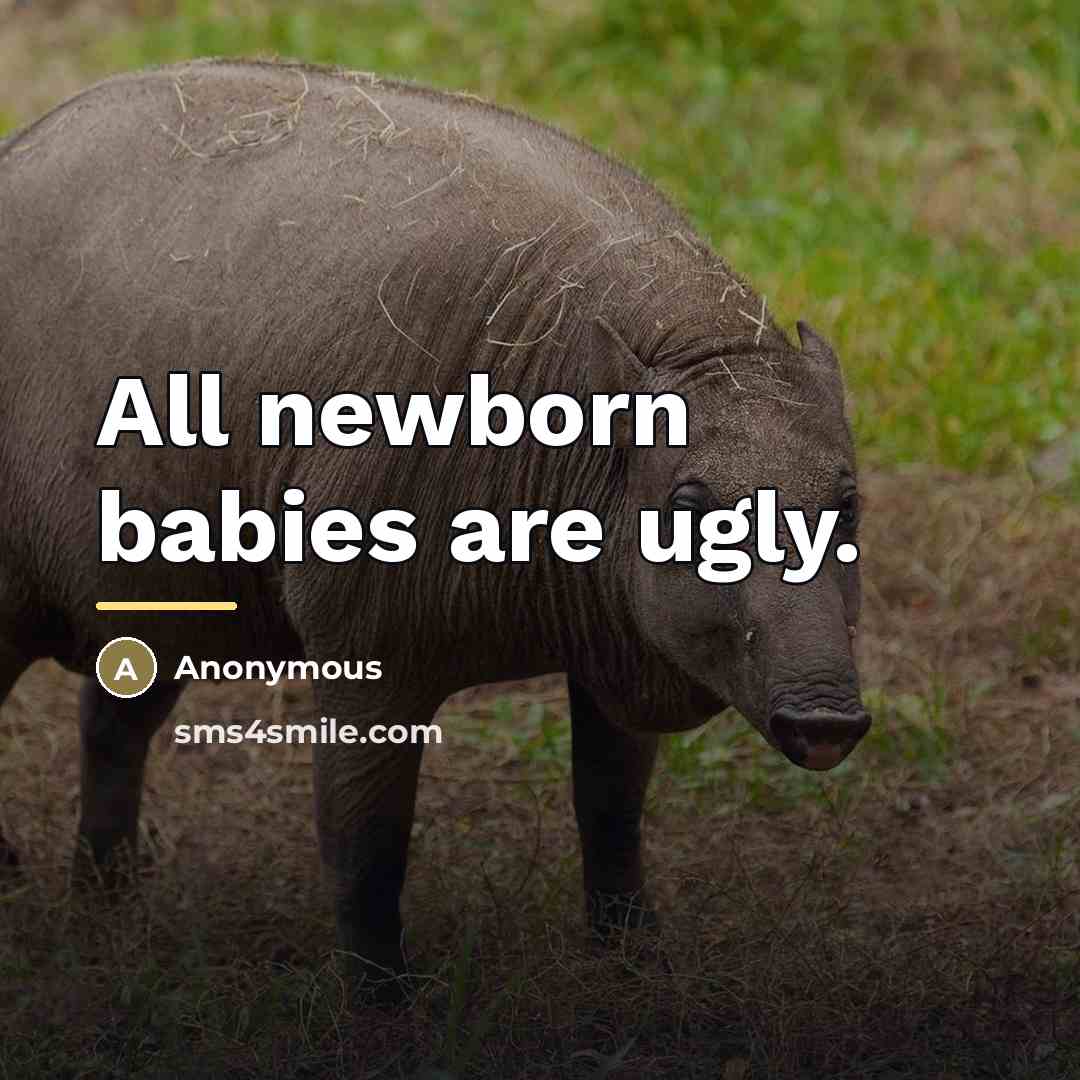 “All newborn babies are ugly.…” quote by Anonymous