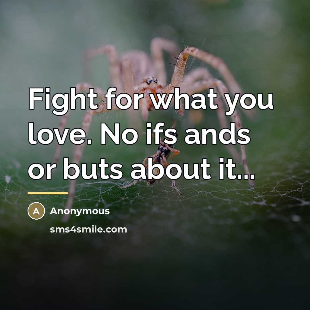 “Fight for what you love. No ifs ands or buts…” quote by Anonymous
