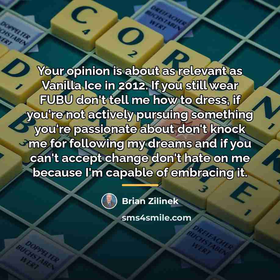 “Your opinion is about as relevant as Vanilla Ice in…” quote by Brian Zilinek