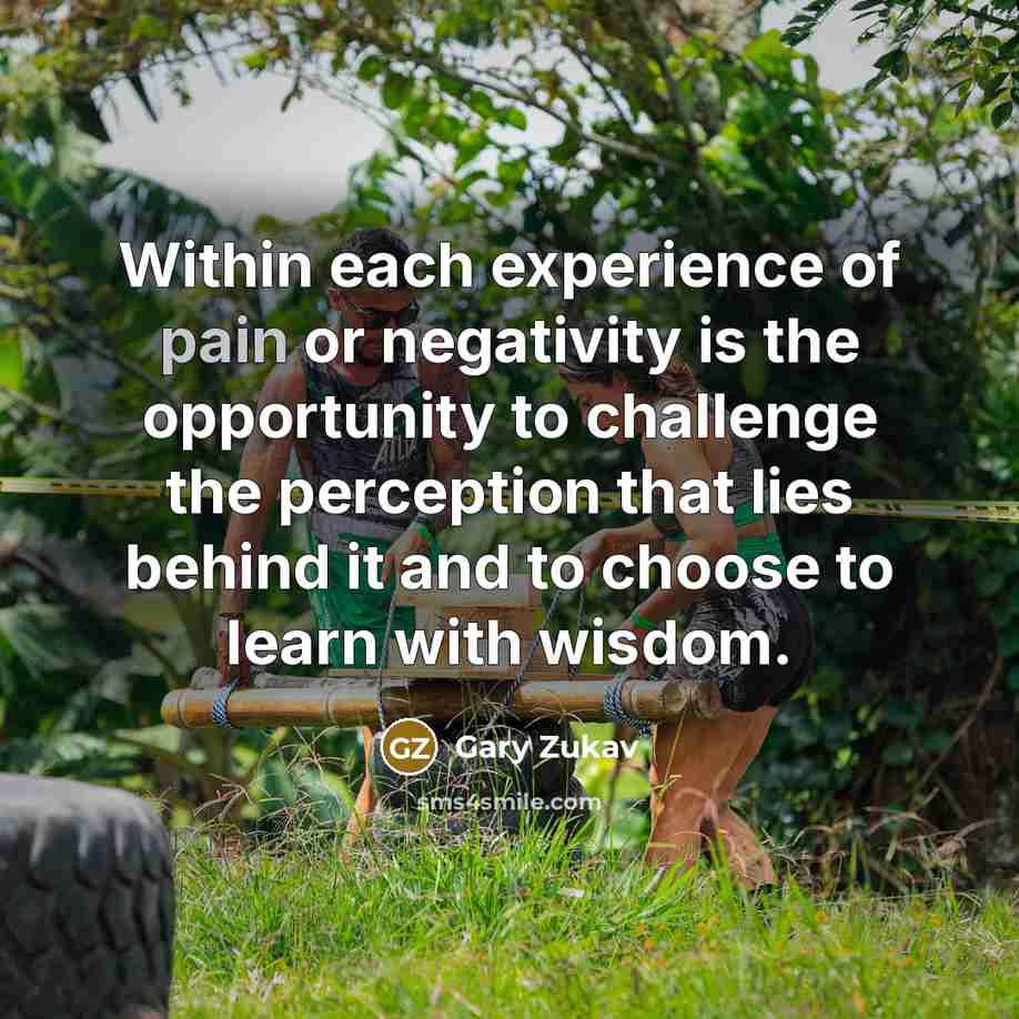 “Within each experience of pain or negativity is the opportunity…” quote by Gary Zukav