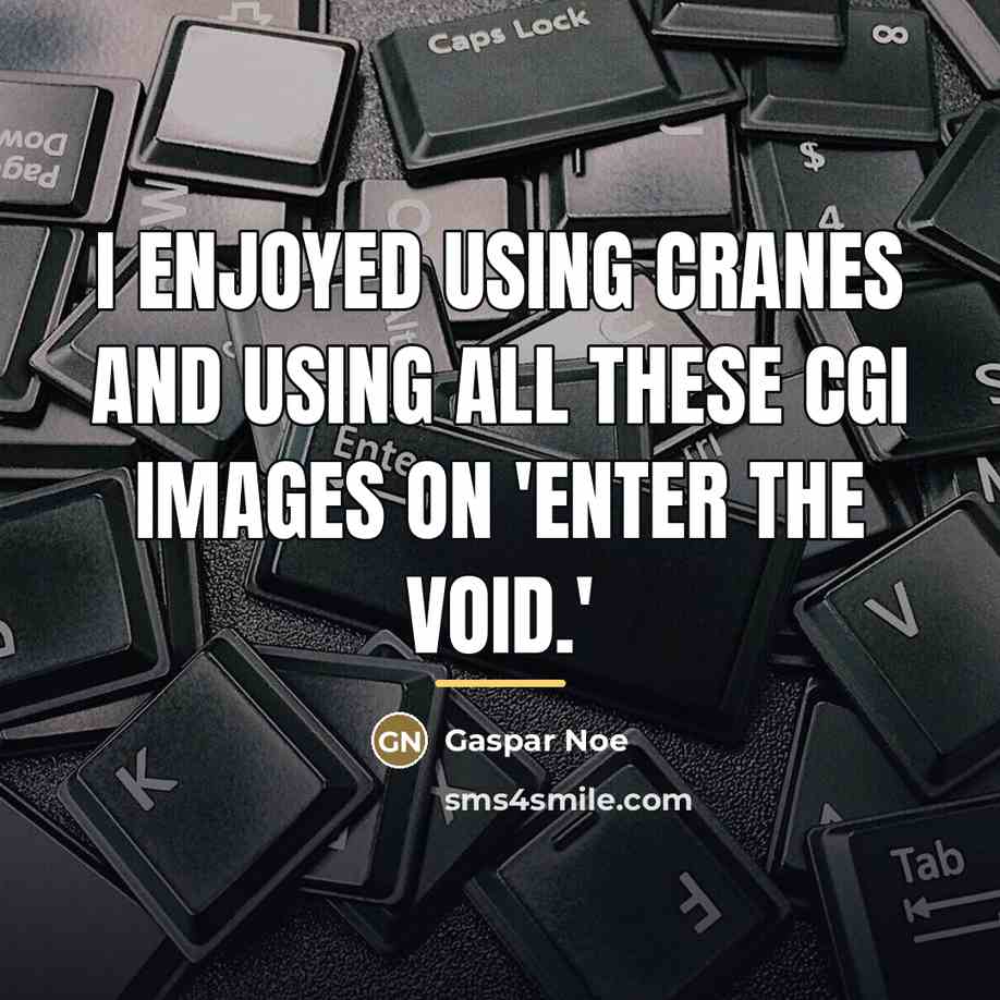 “I enjoyed using cranes and using all these CGI images…” quote by Gaspar Noe