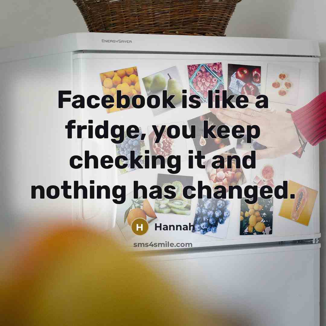 “Facebook is like a fridge, you keep checking it and nothing has changed.” quote by Hannah