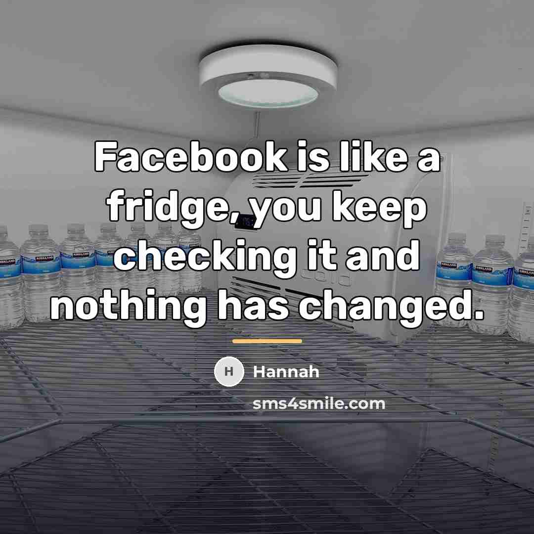 “Facebook is like a fridge, you keep checking it and…” quote by Hannah