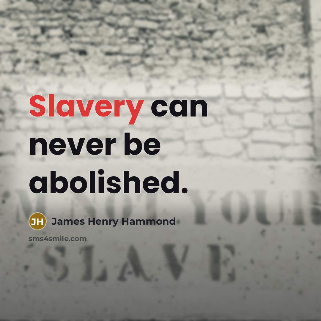 “Slavery can never be abolished.…” quote by James Henry Hammond