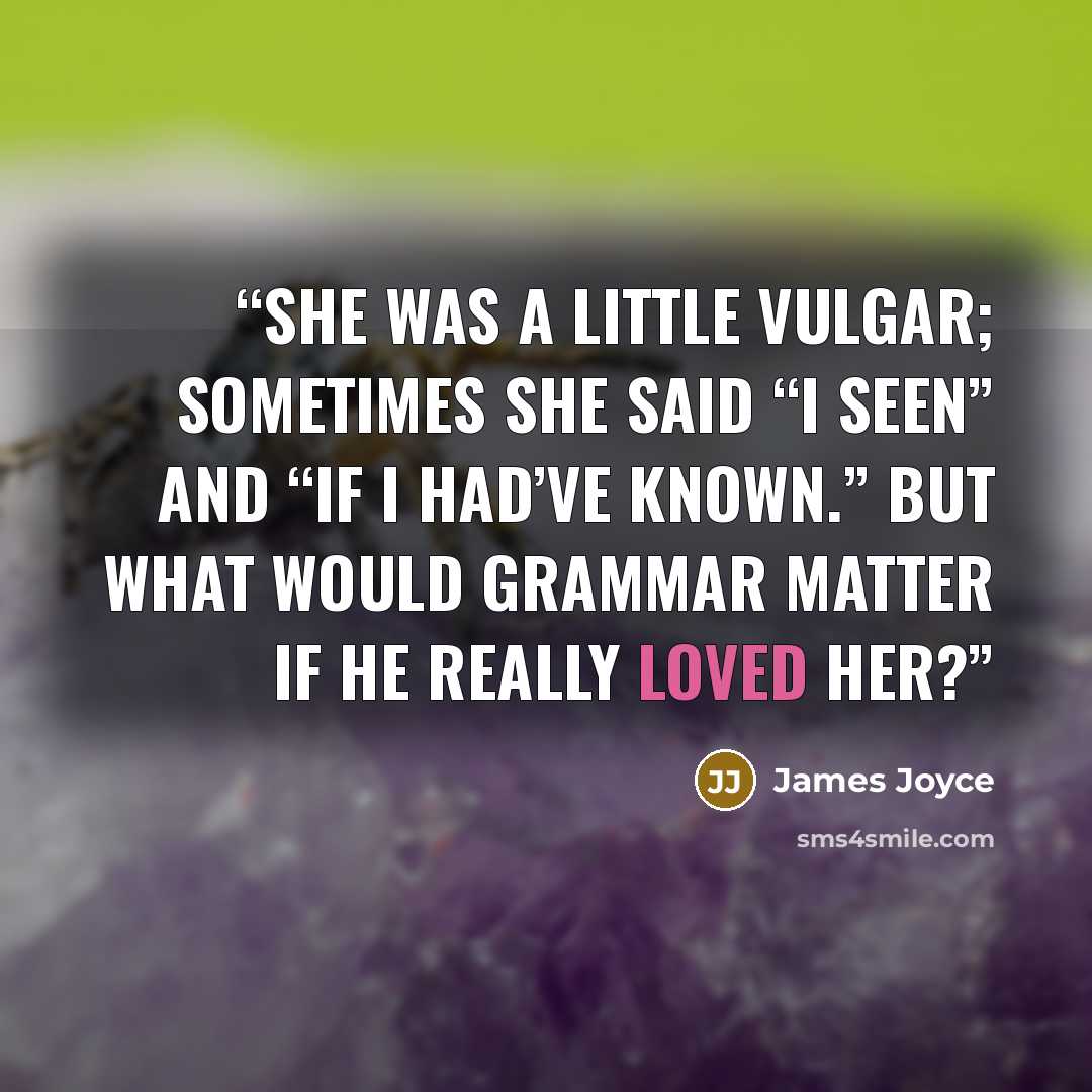 “She was a little vulgar; sometimes she said “I seen” and “If I had’ve known.” But what would grammar matter if he really loved her?” quote by James Joyce