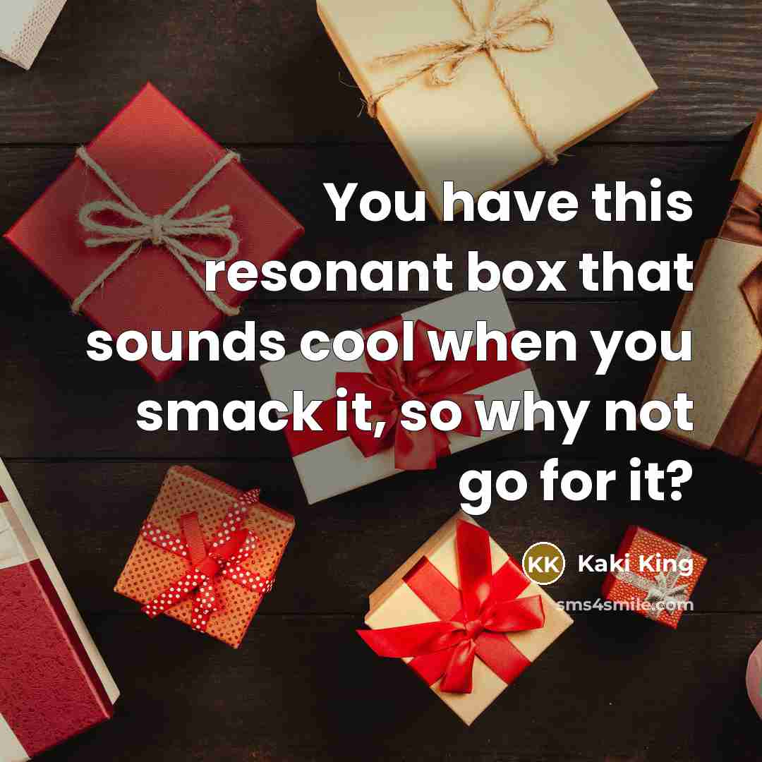 “You have this resonant box that sounds cool when you…” quote by Kaki King