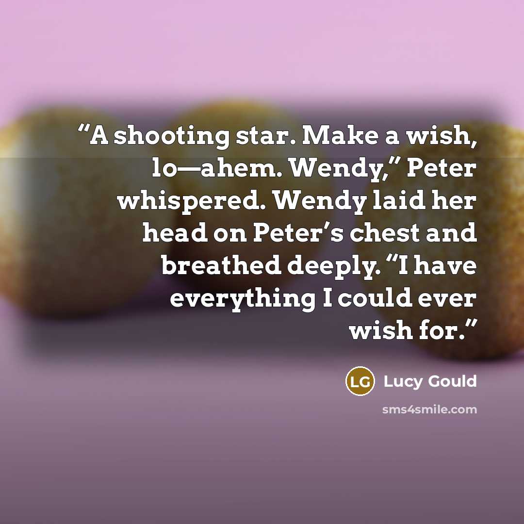 “A shooting star. Make a wish, lo—ahem. Wendy,” Peter whispered. Wendy laid her head on Peter’s chest and breathed deeply. “I have everything I could ever wish for.” quote by Lucy Gould