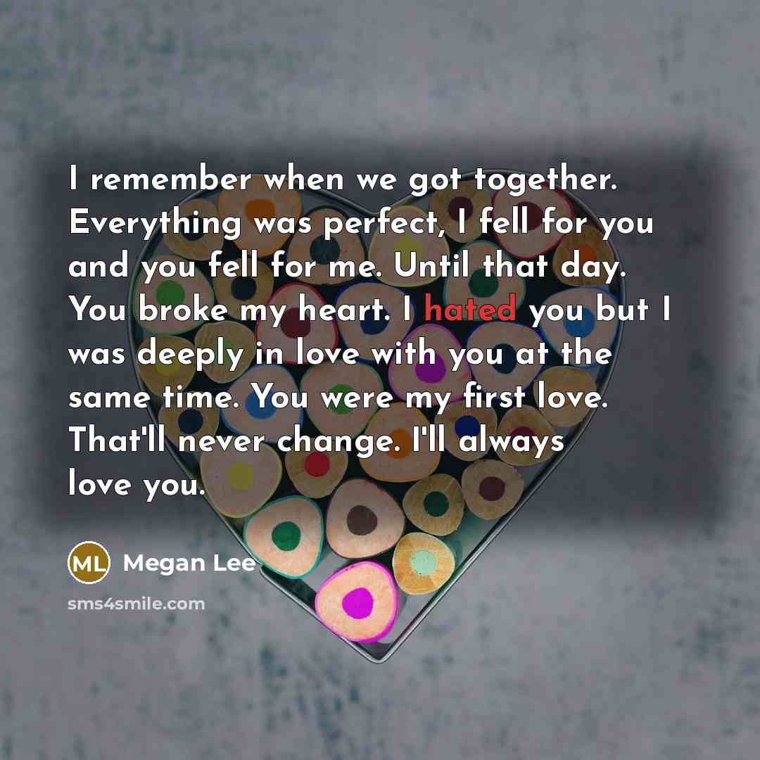 “I remember when we got together. Everything was perfect, I…” quote by Megan Lee