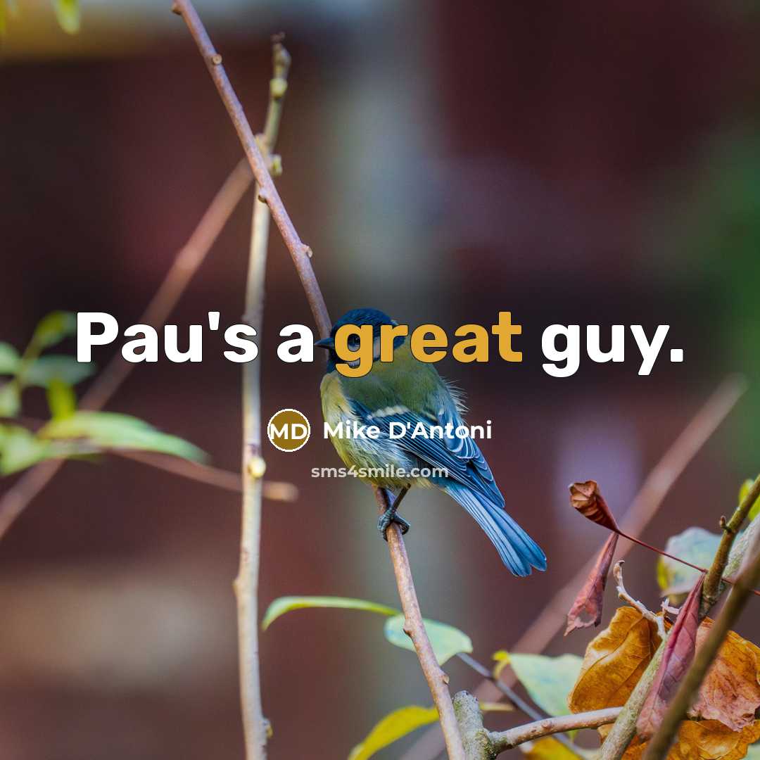 “Pau's a great guy.…” quote by Mike D'Antoni