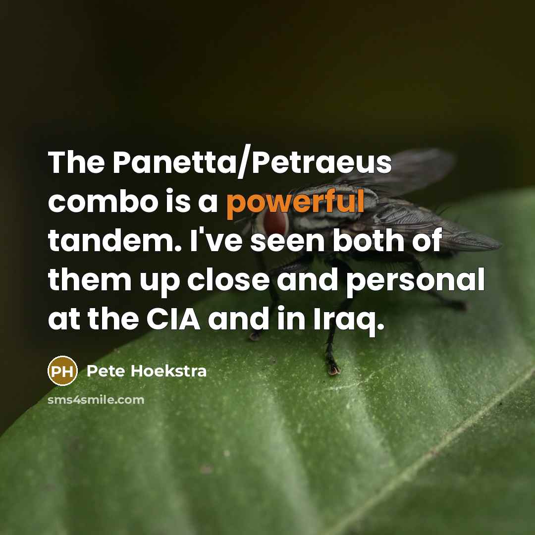 “The Panetta/Petraeus combo is a powerful tandem. I've seen both…” quote by Pete Hoekstra