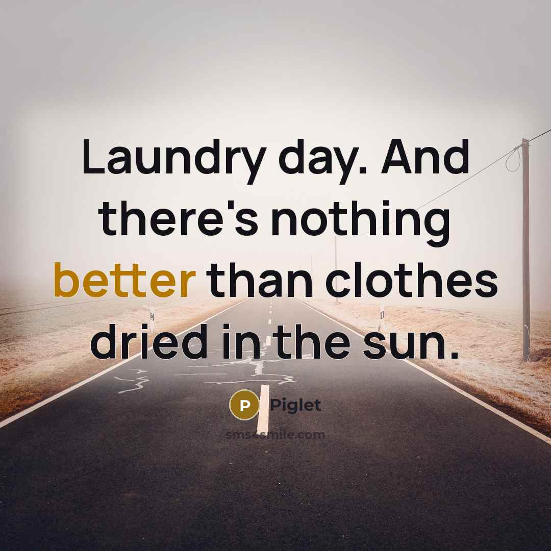 “Laundry day. And there's nothing better than clothes dried in the sun.” quote by Piglet