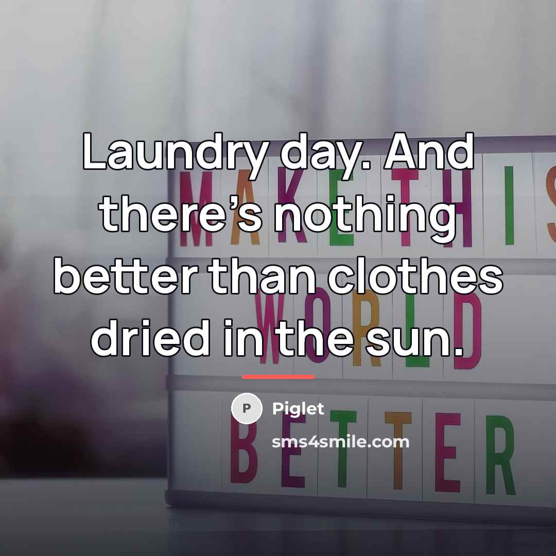 “Laundry day. And there's nothing better than clothes dried in…” quote by Piglet