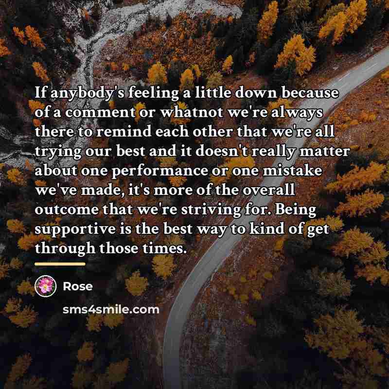 “If anybody's feeling a little down because of a comment…” quote by Rose