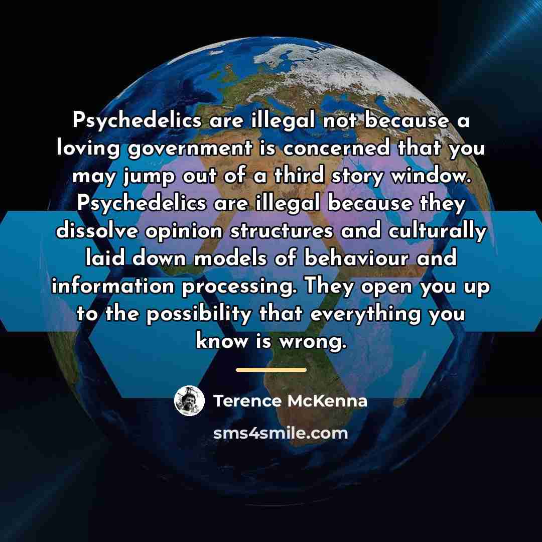 “Psychedelics are illegal not because a loving government is concerned…” quote by Terence McKenna