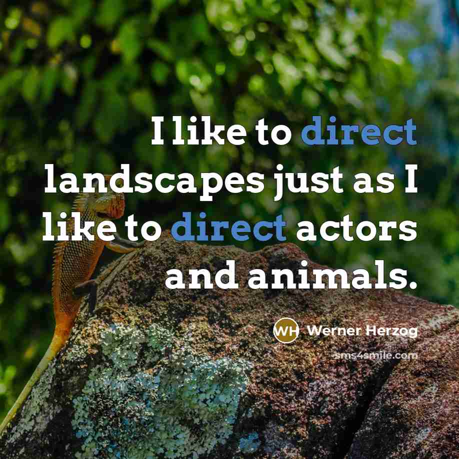 “I like to direct landscapes just as I like to…” quote by Werner Herzog