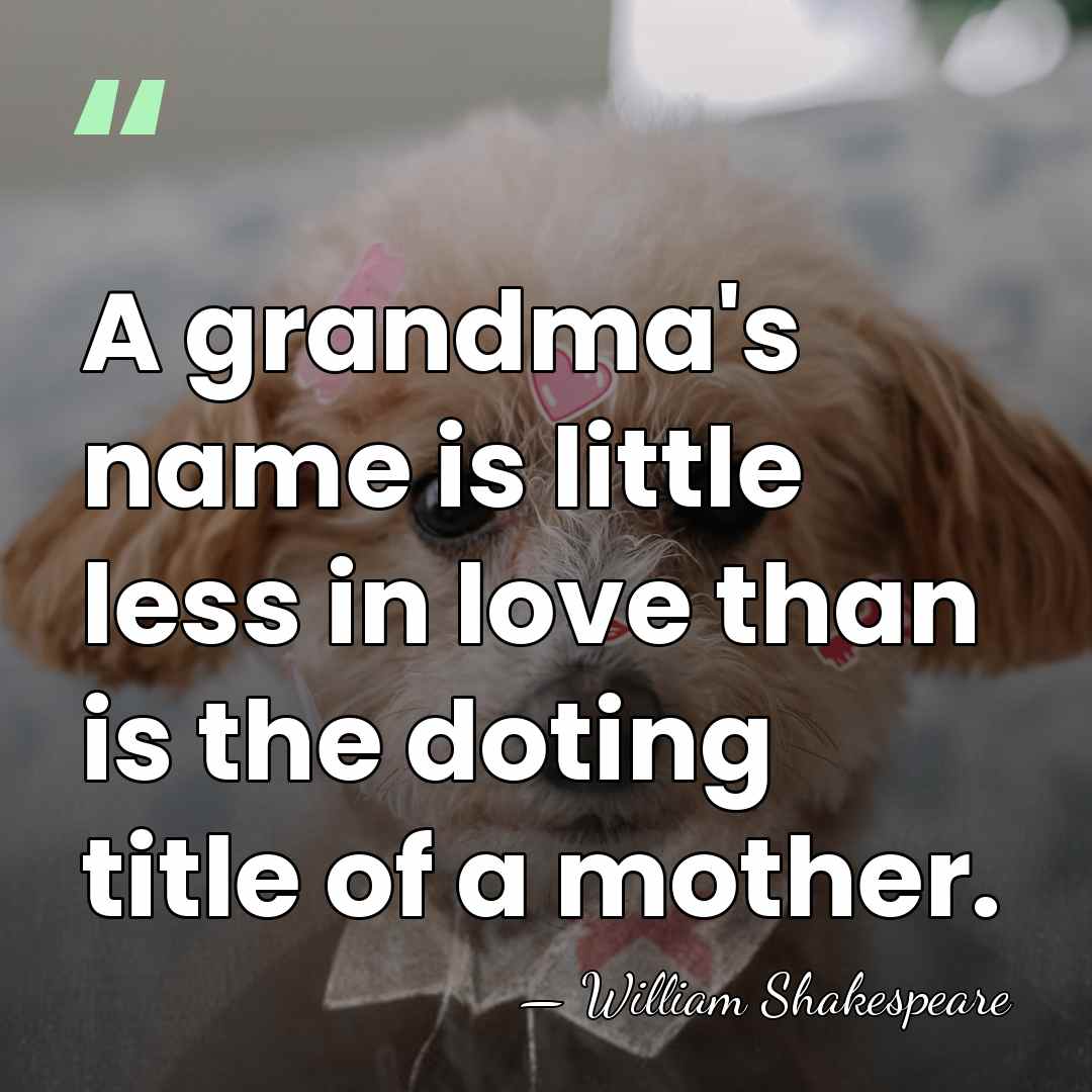 A grandma's name is little less in love than is the doting&hellip; - William Shakespeare
