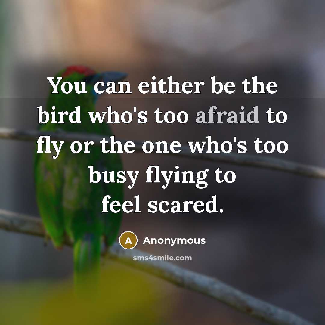 “You can either be the bird who's too afraid to fly or the one who's too busy flying to feel scared.” quote by Anonymous