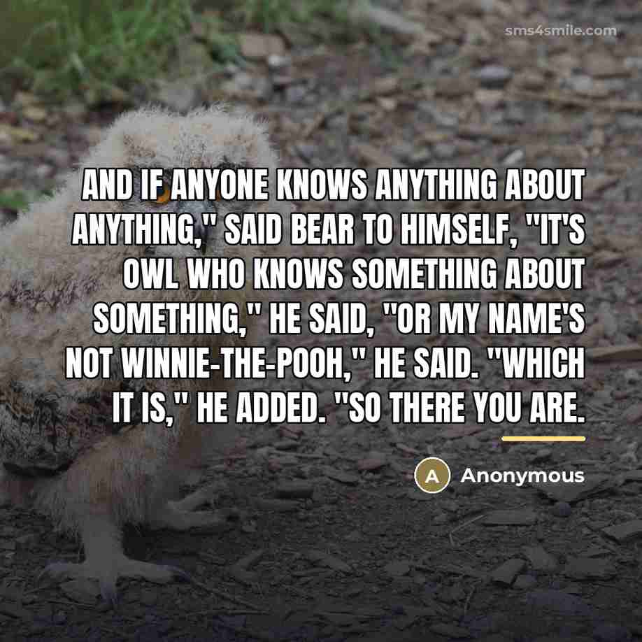 “And if anyone knows anything about anything," said Bear to…” quote by Anonymous