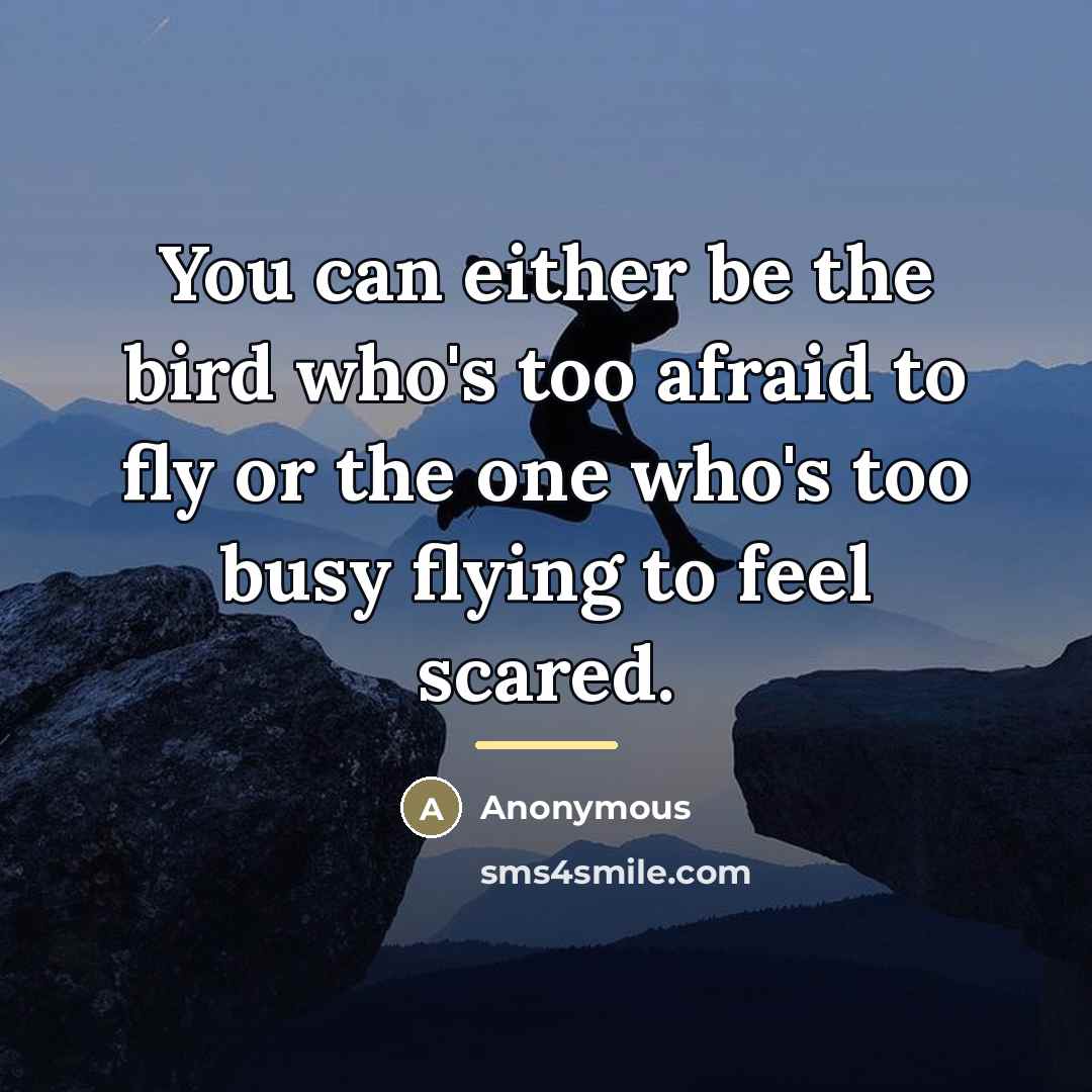 “You can either be the bird who's too afraid to…” quote by Anonymous