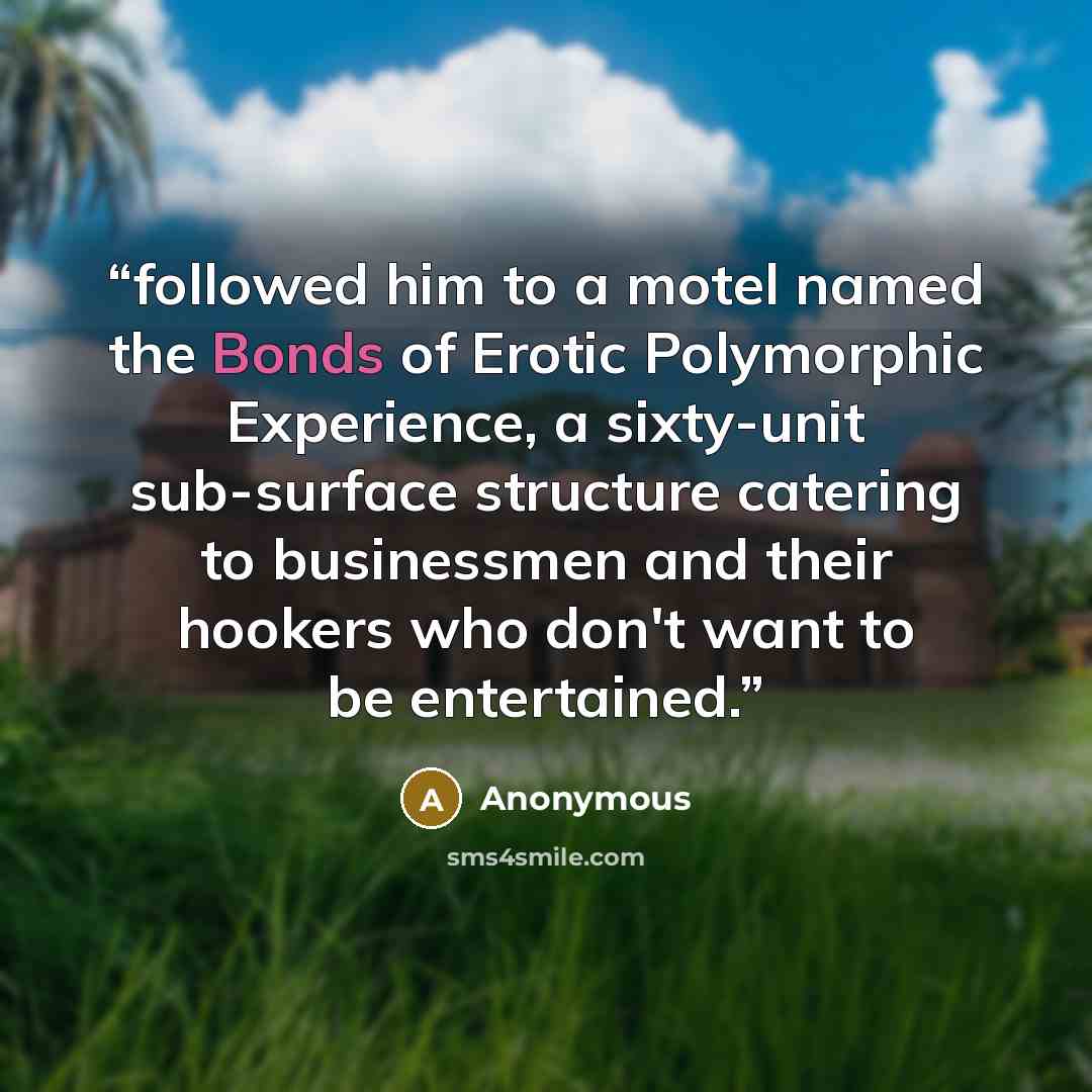 “followed him to a motel named the Bonds of Erotic Polymorphic Experience, a sixty-unit sub-surface structure catering to businessmen and their hookers who don't want to be entertained.” quote by Anonymous