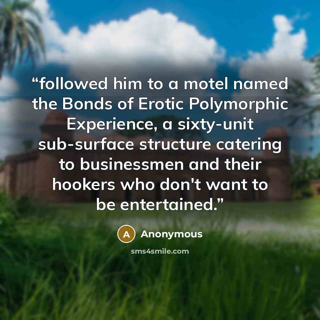 “followed him to a motel named the Bonds of Erotic Polymorphic Experience, a sixty-unit sub-surface structure catering to businessmen and their hookers who don't want to be entertained.” quote by Anonymous