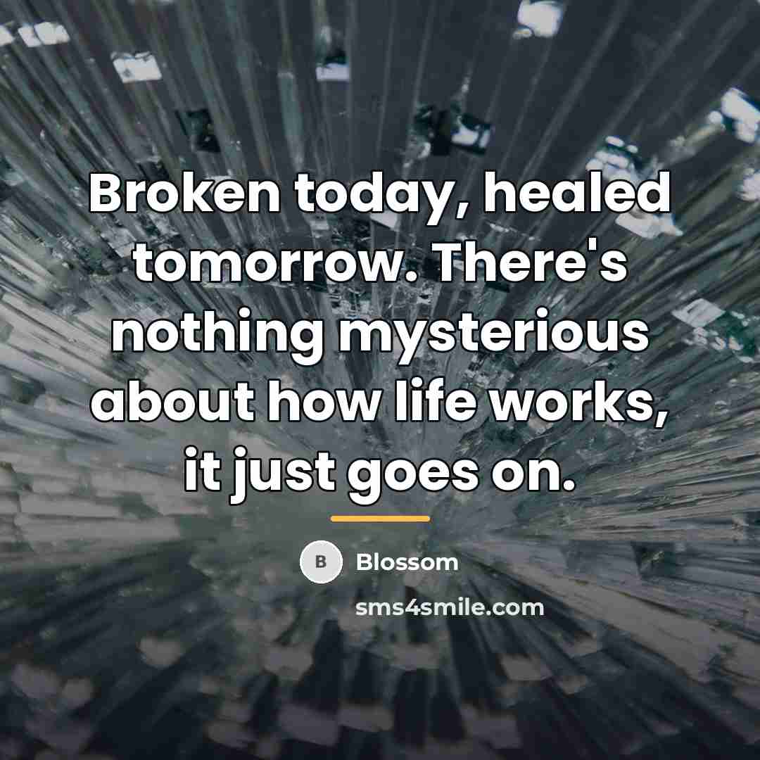 “Broken today, healed tomorrow. There's nothing mysterious about how life…” quote by Blossom