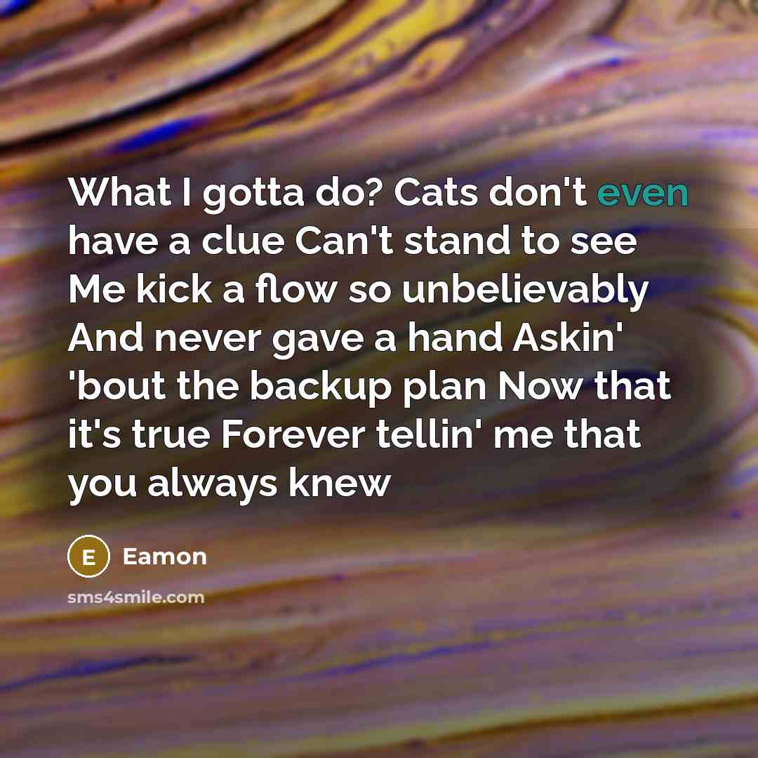 “What I gotta do? Cats don't even have a clue…” quote by Eamon