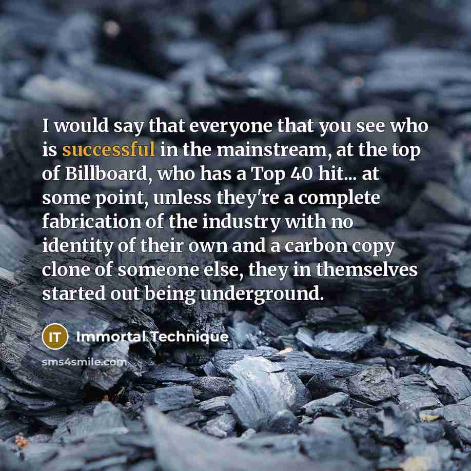 “I would say that everyone that you see who is…” quote by Immortal Technique