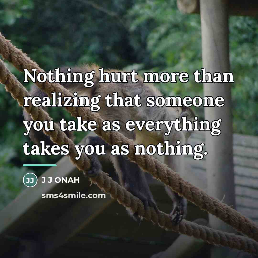 “Nothing hurt more than realizing that someone you take as…” quote by J J ONAH