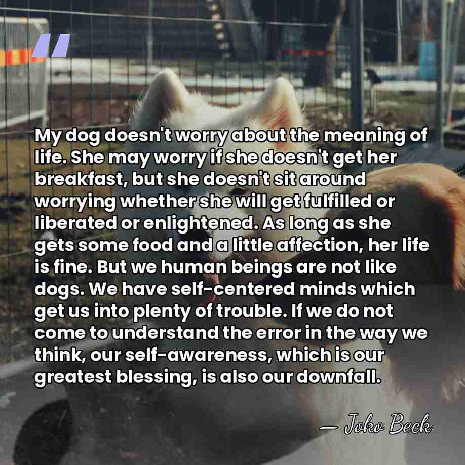 My dog doesn't worry about the meaning of life. She may worry if&hellip; - Joko Beck