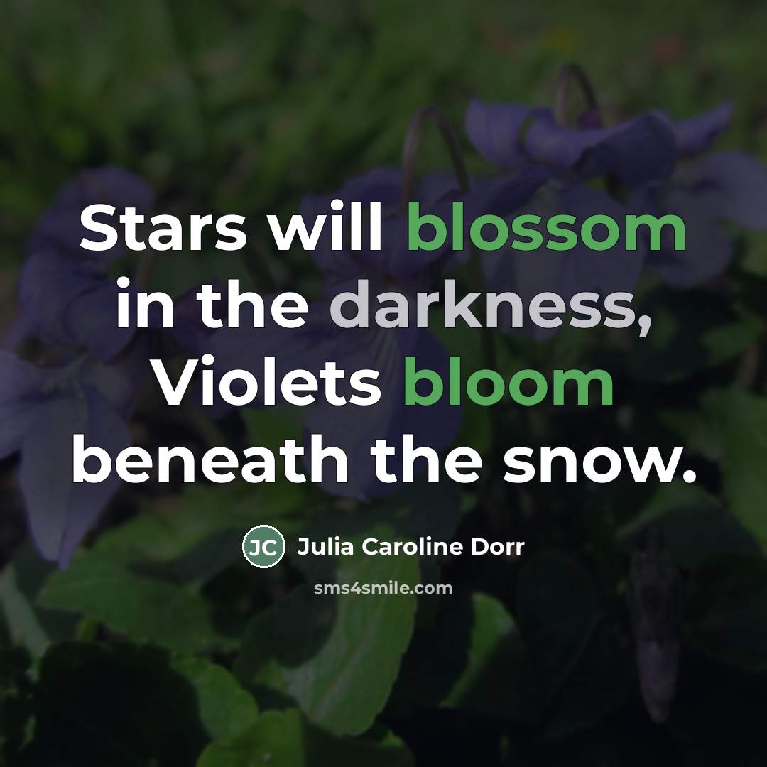 “Stars will blossom in the darkness, Violets bloom beneath the…” quote by Julia Caroline Dorr
