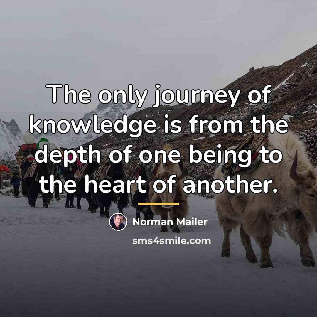 “The only journey of knowledge is from the depth of…” quote by Norman Mailer