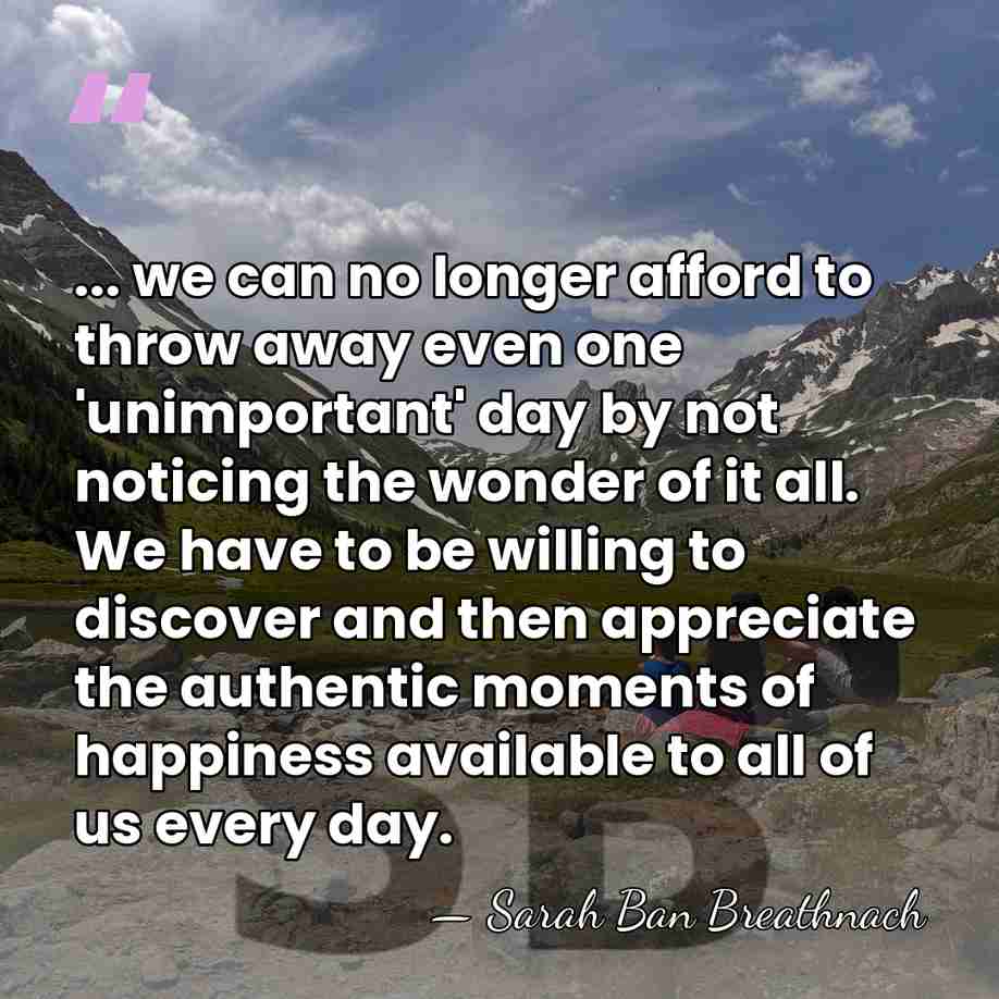 ... we can no longer afford to throw away even one 'unimportant'&hellip; - Sarah Ban Breathnach