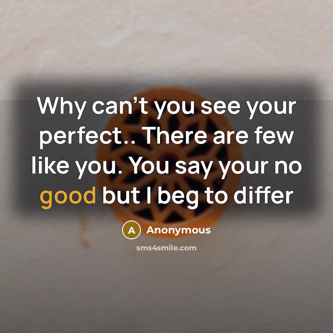“Why can't you see your perfect.. There are few like you. You say your no good but I beg to differ” quote by Anonymous