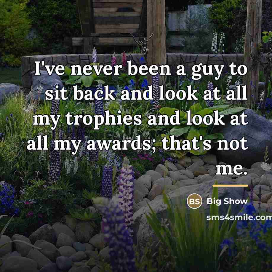 “I've never been a guy to sit back and look…” quote by Big Show